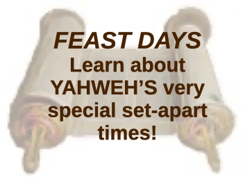 yc feast days