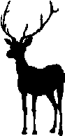 elk