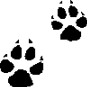 pawprint